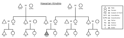 file hawaiian kinship chart svg wikimedia commons