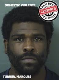 Palm Beach Mug Shots