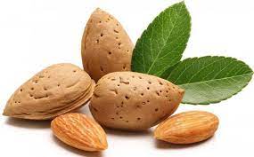 Maybe you would like to learn more about one of these? Perkilo Capai Harga Setengah Juta Rupiah Ini Deretan Kacang Termahal Di Dunia Malangtimes