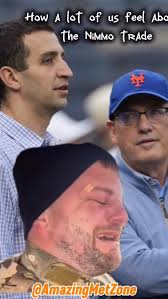 Hear the Mets Roar with the Power of Friendship