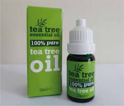 Tea Tree Oil Exposure In Cats And Dogs The Veterinary Nurse