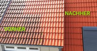 Dachreinigung Dachreinigung Zepf Ihr Spezialist Fur Saubere Dacher