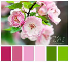 Pin On Color Pops
