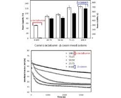 Nomadic bedouins have relied on camel milk as a staple for eons; Foaming And Adsorption Behavior Of Bovine And Camel Proteins Mixed Layers At The Air Water Interface Sciencedirect