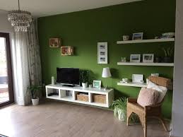 Wohnzimmer In Farbe Die Grune Wand Bietet Einen Tollen Kontrast Zu Den Weissen Regalen Greenliving Livingroom Zimmer Zimmer Einrichten Wohnung Wohnzimmer
