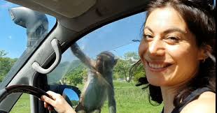 Longleat Safari and Adventure Park Days Out Review 2022