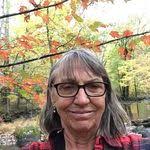 Dana Forney's Instagram, Twitter & Facebook