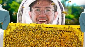 One Guy, 40 Million Bees