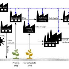 Check spelling or type a new query. Pdf Scale Up Economics For Cultured Meat Techno Economic Analysis And Due Diligence