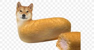 Dogecoin Shiba Inu Desktop Wallpaper Png 587x437px Watercolor Cartoon Flower Frame Heart Download Free Here are only the best shiba inu wallpapers. dogecoin shiba inu desktop wallpaper