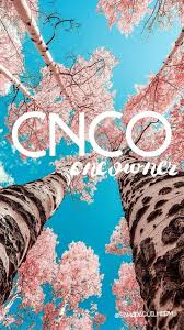 Check spelling or type a new query. Fondos De Pantalla Y Imagenes De Cnco Para Celular Y Pc Hd 4k Gratis Trucos Tecno