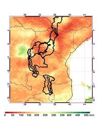 Image result for Rytigynia bridsoniae