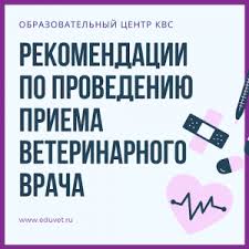 Рекомендации — в международном праве означают резолюции международных организаций, совещаний или конференций, которые не имеют обязательной юридической силы. Rekomendacii I Protokoly Materialy Kursov Oc Kvs Obrazovatelnyj Centr Kollegii Veterinarnyh Specialistov
