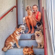 La Bella Casa Garde de chiens