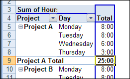 Maybe you would like to learn more about one of these? Show Total Hours In A Pivot Table Contextures Blog