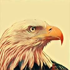 We did not find results for: Adler Traum Deutung