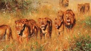 Ochen Interesnyj Dokumentalnyj Film Dikaya Pustynya Afriki Zhivotnyj Mir Afriki Youtube