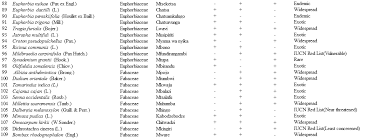 Image result for Mildbraedia carpinifolia