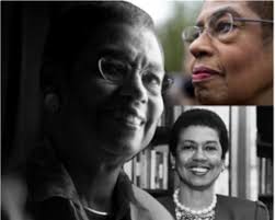 Midsummer Fundraising Dayla