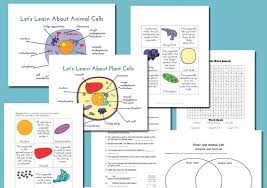 Le cellule procariote e le cellule eucariote. Differenze Tra Cellule Animali E Cellule Vegetali