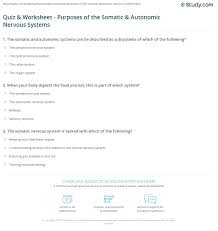 It sits atop our heads, where it sends and receives important messages. Quiz Worksheet Purposes Of The Somatic Autonomic Nervous Systems Study Com