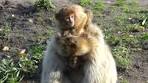 Het is alweer 6 maanden geleden dat op 7 juni het eerste ... - Facebook