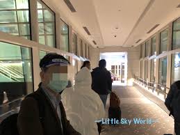 This will only take a moment. Covid 19 Archives Little Sky World