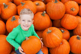 How To Pick A Pumpkin 5 Tips For Picking The Perfect Pumpkins At The Pumpkin Patch Activities 30seconds Mom Pumpkin Patch Activities Pumpkin Decorating Pumpkin Farm