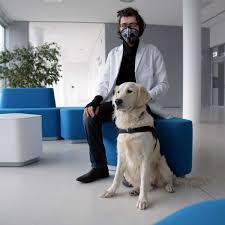 Asperger's syndrome awareness follows bryan's journey to become an asperger's. Mobbing An Frankfurt University Of Applied Sciences Student Mit Asperger Erhebt Schwere Vorwurfe Frankfurt