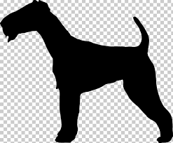 A small amount of white may be allowed on the chest. Irish Terrier Border Terrier Yorkshire Terrier Welsh Terrier Jack Russell Terrier Png Clipart Black And White