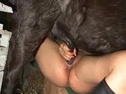 سكس حيونات:: سكس حيونات حصان ينيك بنت من خرم طيزها وكسها 