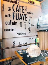 Cat Cafes In Istanbul They Re All Cat Cafes As You Ll Find Cats Everywhere Cafe Istanbul Coffee Latte