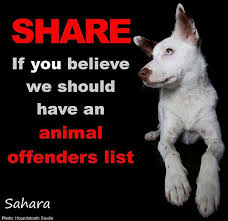 553807 10150978447737454 1746155248 N Animal Abuse Animals Dogs