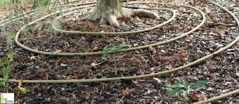 Use porous paving materials such as brick or flagstone rather than concrete or asphalt. 7 Steps To Properly Plant New Trees And Shrubs Milorganite