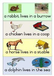 English Teaching Worksheets Animal Homes Home Poster Animal House Animals And Their Homes