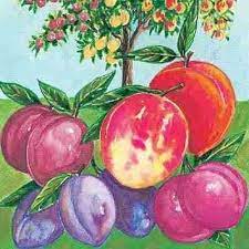 We did not find results for: Fruit Cocktail Trees