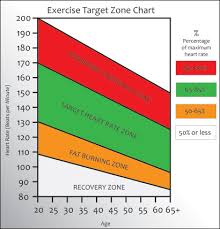 Workout Heart Rate Zones Heart Rate Zones