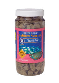 Aqua Nature Tropical Fish & Exotic Pets | Excellent Source Of Protein!  Similar In Taste And Texture Like Live Tubifex Worms, And Free From  Dangerous Parasites And Germs, Tubifex… | Instagram