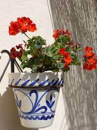 We did not find results for: Retro Blue Hand Painted Spanish Garden Pot With Flowers Hanging Pots Painting Projects Back Garden