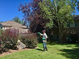 Perimeter pest control of homes and buildings. A Review Of The 5 Best Lawn Care Services In Idaho Falls