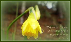 Maybe you would like to learn more about one of these? Flowers Page 2 Nature Photo Poems