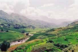 Tentang sakura salah satu penjelasan mengapa sakura menjadi bunga nasional jepang adalah sifat sakura yg 潔く、ぱっと咲いて、ぱっと落ちる(isagiyoku, patto saite, patto ochiru). Puisi Pemandangan Alam Yang Indah Steemit