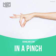 In A Pinch Means Only If Necessary Or As A Substitute Example In A Pinch You Can Use Ketchup But It S Better T English Idioms Idioms English Vocabulary