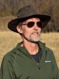 Carbon capture from constructed wetlands declines as they age