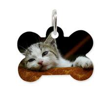 Quick navigation a great deal of parents decide to find baby bassinets should they are interested in having the baby to print on demand drop shipping under your brand. Blank Bone Pet Tags Personalized Pet Tags Online Photobook Malaysia