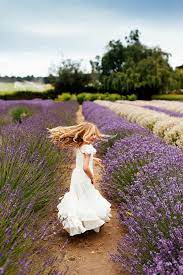 Lavender Farm Child Photography Sequim Lavender Farm And Fesitval Seattle Family Photo Lavender Fields Photography Kids Portraits Photography Lavender Fields