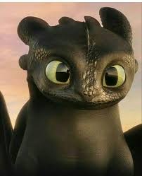 Hiccstrid How Train Your Dragon How To Train Dragon How To Train Your Dragon