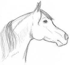 Pencil easy horse head drawing. 15 Best Pencil Draw A Horse Head Art Drawing Pencil Hardness Scale