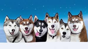 Nana, demon, mac, diesel, dutchess, digger, yodel and buck. Snow Dogs Movie Fanart Fanart Tv