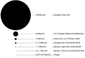 The diameter of human hair is proved to range between 17 μm to 181 μm (brian, 1999). What Is A Micron And Why Micron Size Matters For Water Filters Pick Comfort